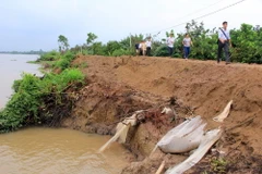 Ảnh minh họa. (Nguồn: TTXVN)
