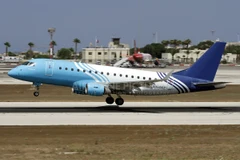 Một máy bay của Air Sinai. (Nguồn: Airplane-pictures.net)