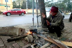 (Ảnh: Thanh Tùng/TTXVN)