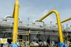 Ảnh minh họa. (Nguồn: THX/TTXVN)