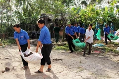 Thanh niên tham gia các hoạt động vì cộng đồng. (Nguồn: TTXVN)