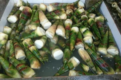 Hàng trăm kg măng tươi tẩm hóa chất. (Ảnh: Đậu Tất Thành/TTXVN)