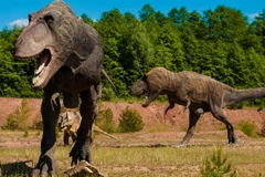 (Nguồn: deccanchronicle.com)