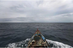 Ảnh minh họa. (Nguồn: Reuters)