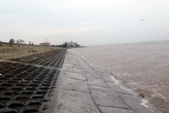 Đê biển Hải Thịnh, thị trấn Thịnh Long, huyện Hải Hậu, Nam Định bị hư hỏng do bão số 1 vừa mới được gia cố. (Ảnh: Văn Đạt/TTXVN)