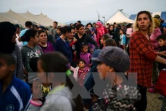 Ảnh minh họa. (Nguồn: AFP/TTXVN)