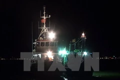 (Ảnh minh họa: Xuân Nguyên/TTXVN phát)