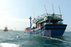 (Ảnh minh họa: Nguyên Lý/TTXVN)