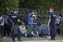 Người di cư bị bắt giữ tại khu vực biên giới Hungary-Serbia ngày 15/9/2015. (Nguồn: Reuters/TTXVN)