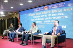 Phó Thủ tướng Trịnh Đình Dũng tham dự Diễn đàn Doanh nhân Việt Nam tại Liên bang Nga. (Ảnh: Quang Vinh/Vietnam+)