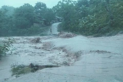 Ảnh minh họa. (Nguồn: TTXVN)