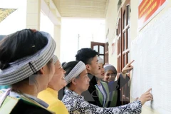 Đồng bào dân tộc Mông xã Quang Sơn, huyện Đồng Hỷ xem danh sách cử tri niêm yết tại Nhà văn hóa. (Ảnh: Thu Hằng/TTXVN)