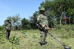 Bộ đội công binh rà phá bom mìn tại Quảng Trị. (Ảnh: Trọng Đức/TTXVN)