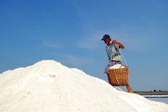 Thu hoạch muối. (Ảnh minh họa: Mạnh Linh/TTXVN)