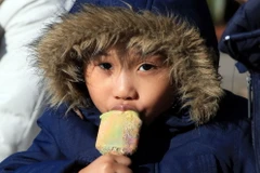 (Ảnh minh họa: Như Mai/Vietnam+)