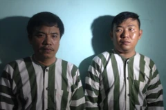 Hàng chục người ở TP.HCM sập bẫy mua xe giá rẻ qua mạng 