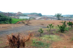 Ảnh chỉ có tính minh họa. (Nguồn: TTXVN)