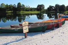 Hồ nước có cảnh báo cấm bơi lội nhưng không có cảnh báo về cá sấu. (Nguồn: Daily Mail)