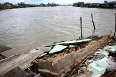 Ảnh minh họa. (Nguồn: TTXVN)