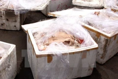 Phát hiện nội tạng động vật thối. (Ảnh minh họa: Trần Lê Lâm/TTXVN)