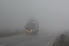 Ảnh minh họa. (Nguồn: TTXVN)