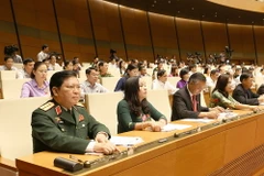 Quốc hội biểu quyết. (Ảnh: Trọng Đức/TTXVN)