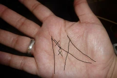 (Nguồn: metro.co.uk)