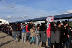 Ảnh minh họa. (Nguồn: AFP/TTXVN)