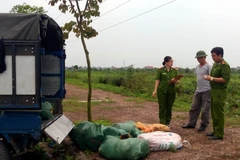 Một xe chở nội tạng bị thu giữ. (Ảnh: Văn Đạt/TTXVN)