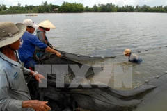 (Ảnh minh họa: Mạnh Linh/TTXVN)