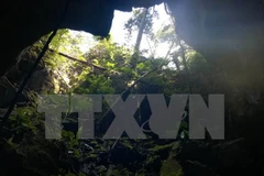 Ảnh chỉ có tính minh họa. (Nguồn: TTXVN)