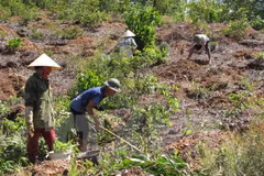 (Ảnh minh họa: Nguyễn Văn Nhật/TTXVN)