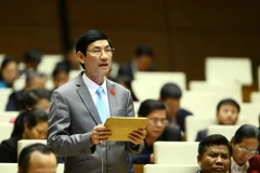 Đại biểu Quốc hội tỉnh Thái Bình Đỗ Văn Vẻ phát biểu ý kiến. (Ảnh: An Đăng/TTXVN)