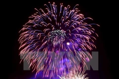 (Ảnh: Trần Lê Lâm/TTXVN)