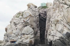 Một hang yến trên đảo trong Vịnh Nha Trang. (Ảnh: Tiên Minh/TTXVN)