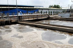 Ảnh minh họa. (Nguồn: TTXVN)