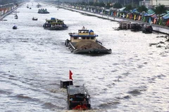 Ảnh chỉ mang tính minh họa. (Nguồn: Đình Huệ/TTXVN)