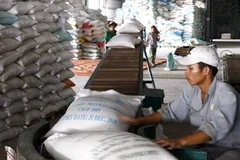 Vận chuyển gạo vào kho phục vụ xuất khẩu. (Ảnh: Đình Huệ/TTXVN)