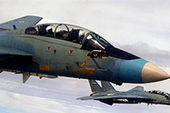 Máy bay tiêm kích F-14. (Ảnh: FARS)