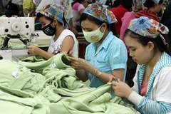 (Ảnh minh họa: Trần Việt/TTXVN) 