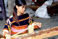 Hỗ trợ phụ nữ dân tộc ít người xoá đói giảm nghèo. (Ảnh: Dương Ngọc/TTXVN) 