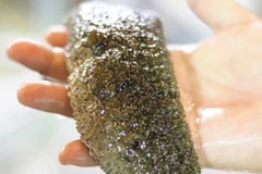 Ảnh minh họa. (Nguồn: Internet)