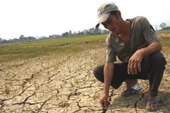 Ảnh chỉ mang tính minh họa. (Nguồn: Trường Thành/TTXVN)