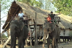 Tour du lịch sinh thái bằng voi ở Buôn Đôn. (Ảnh: Thanh Hà/TTXVN)