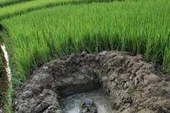 Một hố chôn cột điện không được che chắn. (Ảnh: Internet)