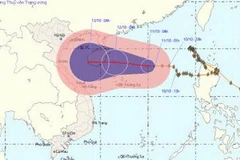 (Ảnh: nchmf)