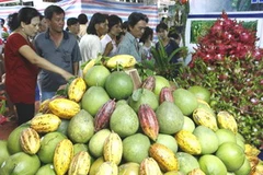 Sản phẩm trái cây đặc sản của tỉnh Tiền Giang. (Ảnh: Đình Huệ/TTXVN)