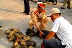 (Ảnh minh họa: Internet)