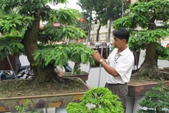 "Vua" xương rồng Thanh Tùng. (Ảnh: nongnghiep.vn)