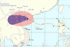 (Ảnh: nchmf)